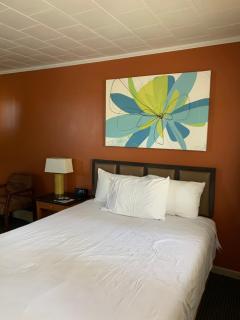 The Triangle Motel - 5