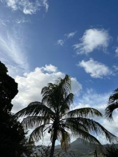 Villa Bambou - Le Vauclin - 2