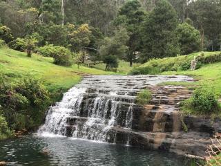 Kodai Countryside - Kodaikānāl - 4