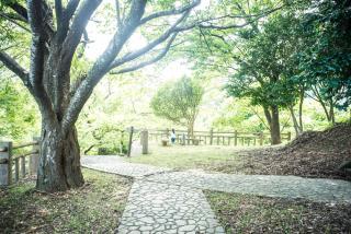 Book & Guesthouse Hitotomaru - Toyooka - 7