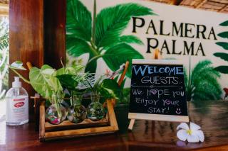 Palmera Palma Top Floor - Moalboal - 6