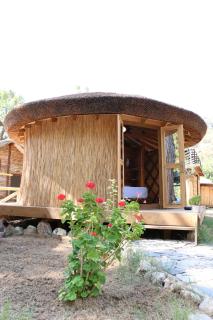 Chakra Beach Kabak - Faralya - 4