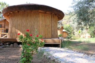 Chakra Beach Kabak - Faralya - 3