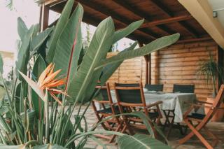Ti Perchoir, Appartement, piscine privée et vue mer à St-Leu - 4