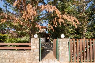 VILLA SIORA MARIKA - Arachova - 3