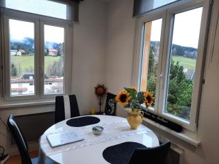 Studio Soleil au Hohwald - Hohwald - 7