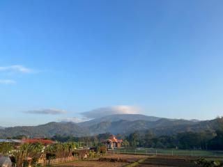 Ponginrakfarmstay ปงอินรักษ์ฟาร์มสเตย์ - Ban Huai Sieo - 5