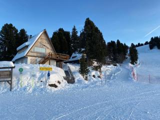 Cozy Mountain Chalet - Cavalese - 9