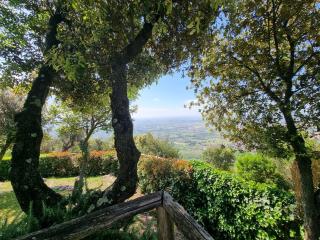 Il casale del Domo - 4