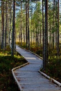 Kätkä Lake Lodge - 1