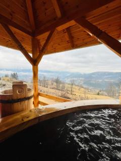 Cabana Trif - Horea - 6