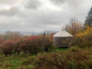Livingston Manor YURT - Parksville - 0