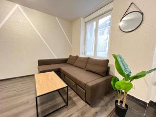 Cosy 0 , Mulhouse centre - 9