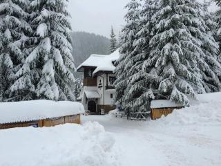 Hanul Haiducilor - 3