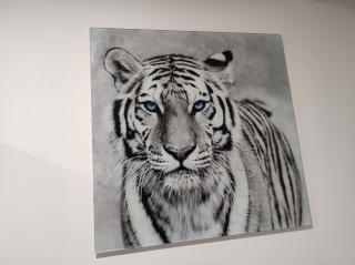 Eye of the Tiger. Apartament w centrum Mrągowa. - Mrągowo - 0