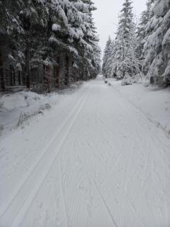 Zlatá Olešnice, pomezí Jizerek a Krkonoš - 9
