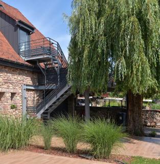 Magnifique Gite Le Clos des pierres Route des Vins d'Alsace - Beblenheim - 6