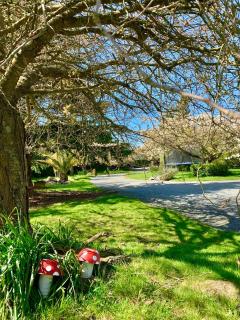 Newlands Bed and Breakfast - West Melton - 1