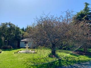 Newlands Bed and Breakfast - West Melton - 2