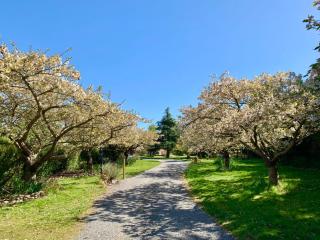 Newlands Bed and Breakfast - West Melton - 3