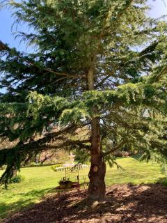 Newlands Bed and Breakfast - West Melton - 8