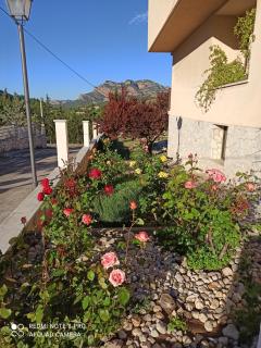 Casa Patrick - Beceite - 1