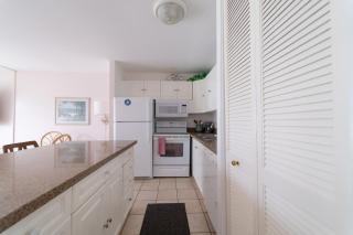 Protea Condo - Kahuku - 6