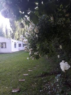 Casa Ramal - Lujan de Cuyo - 5
