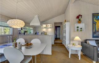 3 Bedroom Amazing Home In Blokhus - 1