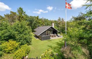 3 Bedroom Cozy Home In Skjern - Skjern - 0