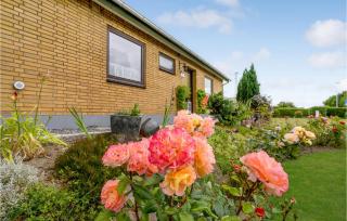 3 Bedroom Pet Friendly Home In Nordborg - Nordborg - 3