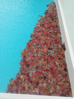 Scorpios Hotel & Suites - 1