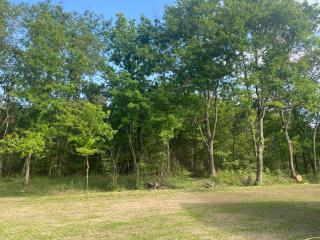 Maison Grands Espaces Calme Jardin/Bois proche 24h du Mans - Brette-les-Pins - 8