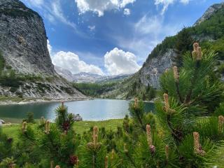 ISONZO APARTMENT - Bovec - 2