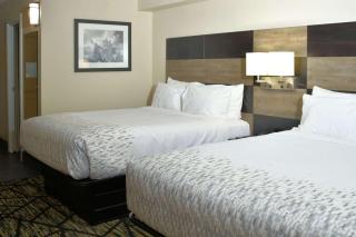 Clarion Pointe Jacksonville near Camp Lejeune - Jacksonville - 5