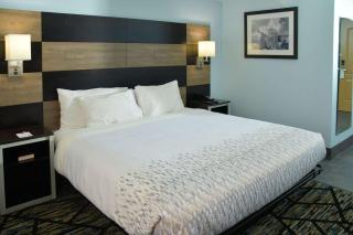 Clarion Pointe Jacksonville near Camp Lejeune - Jacksonville - 1