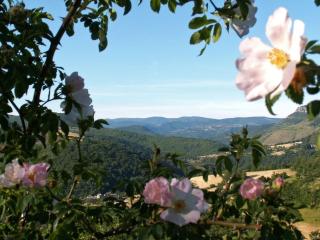 la charbonniere - Florac - 1