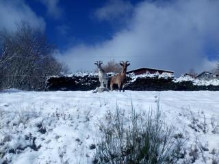 Bellavie - Maison d'hôtes - 3