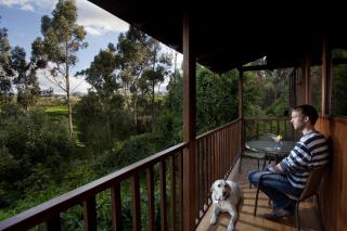Hosteria Papagayo Cotopaxi - 9