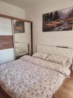 Apartman Stojanovic 2 - Zlatibor - 6