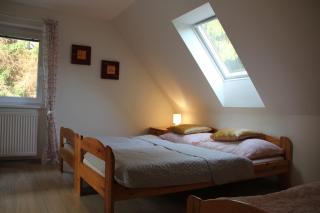 Apartmány Mamut Harrachov - Harrachov - 9