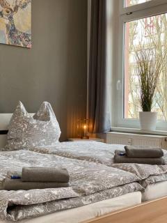 AKK4 - Apartment MD Zentrum nähe Uni und Hbf - 1