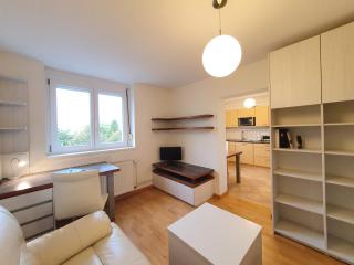 Studio apartment Matic Tour As by Ljubljanica river - Lubiana - 0