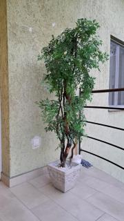 Eper Apartman - Szeged - 5