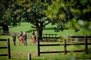 Coworth Park - Dorchester Collection - Ascot - 1