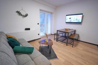 Apartmány U Rodinky - Lipova Lazne - 3