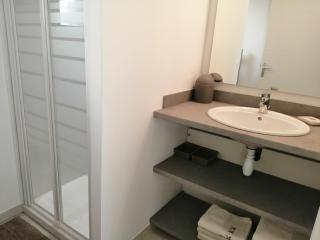 Le Cabanon de Laura - LʼIsle-sur-la-Sorgue - 3