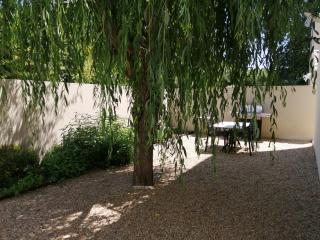 Le Cabanon de Laura - LʼIsle-sur-la-Sorgue - 2