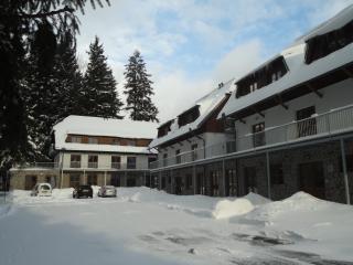 Penzion Dominik - Železná Ruda - 7