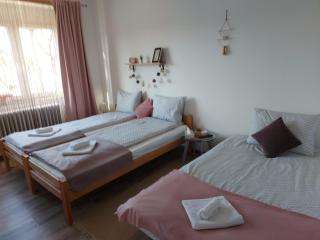 Scala Studio Apartments - Bačka Topola - 8